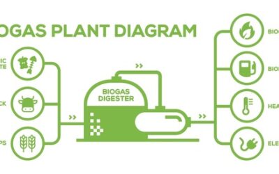 Biogas Tanks: What You Need to Know Before Installing on a Farm or Estate